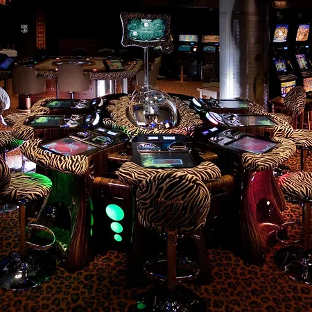 Hotel Hotel & Casino Kongo Grosuplje 3*