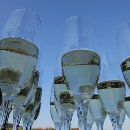 Hotel Grosuplje Hotel Grosuplje