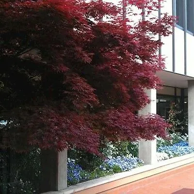 Hotel Hotel Grosuplje Grosuplje