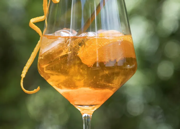 Hotel Grosuplje 3* גרוסופליה