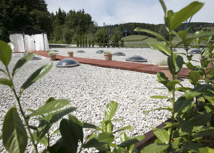 酒店 刚果酒店及赌场