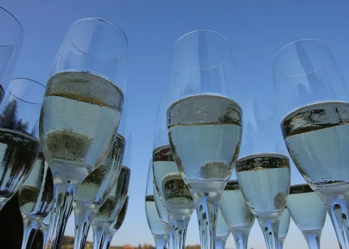 Hotel Grosuplje Hotel Grosuplje